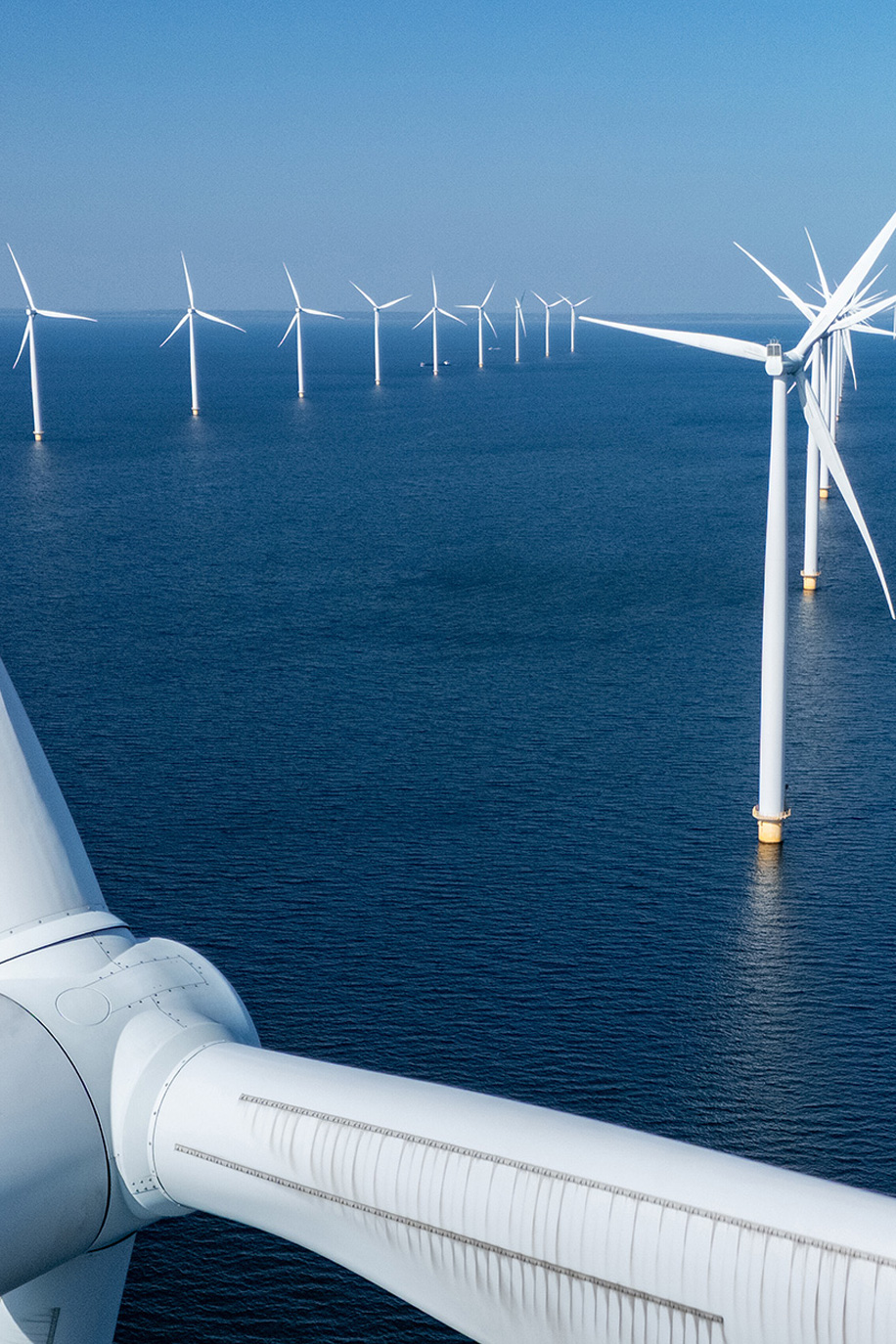 Forretnings Udvikling